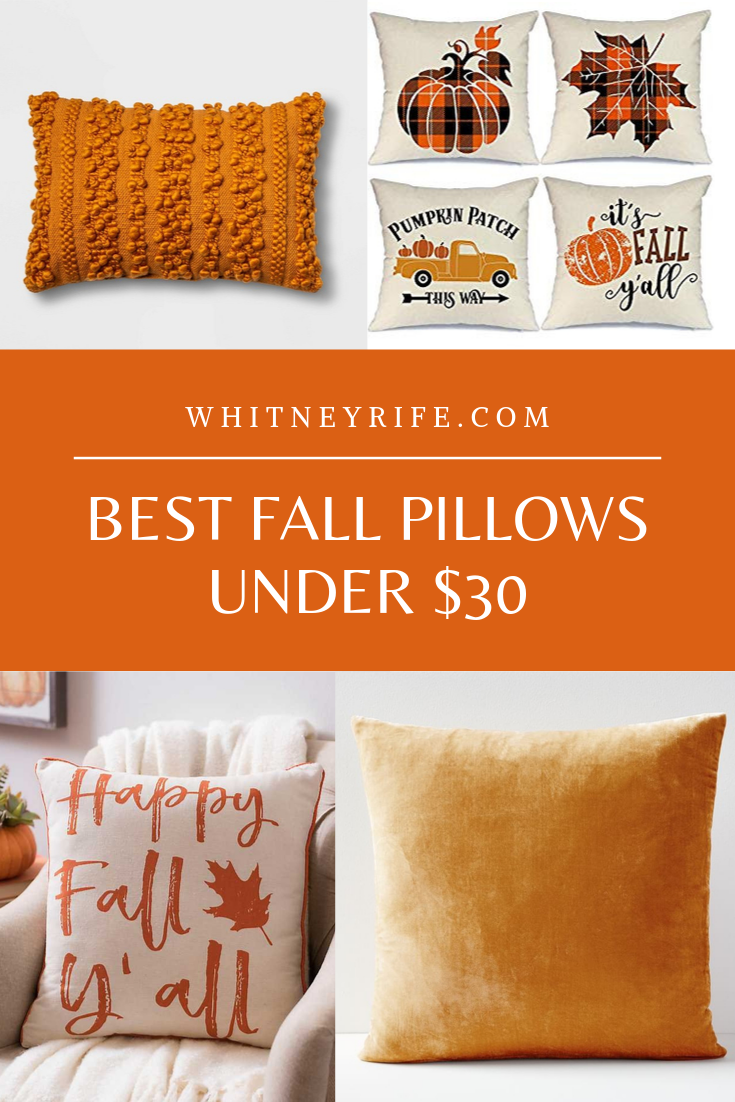 Fall Pillows Under $30